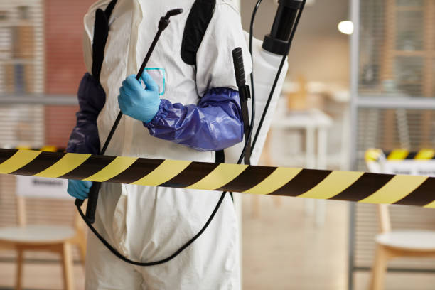 Professional Hoarding Cleanup technician working in Cutler, CA